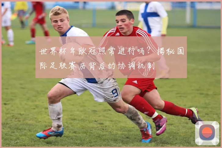 世界杯年欧冠照常进行吗？揭秘国际足联赛历背后的协调机制